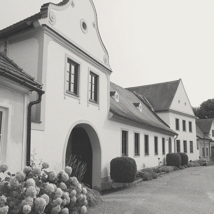 Matthias Warnung - Trinity