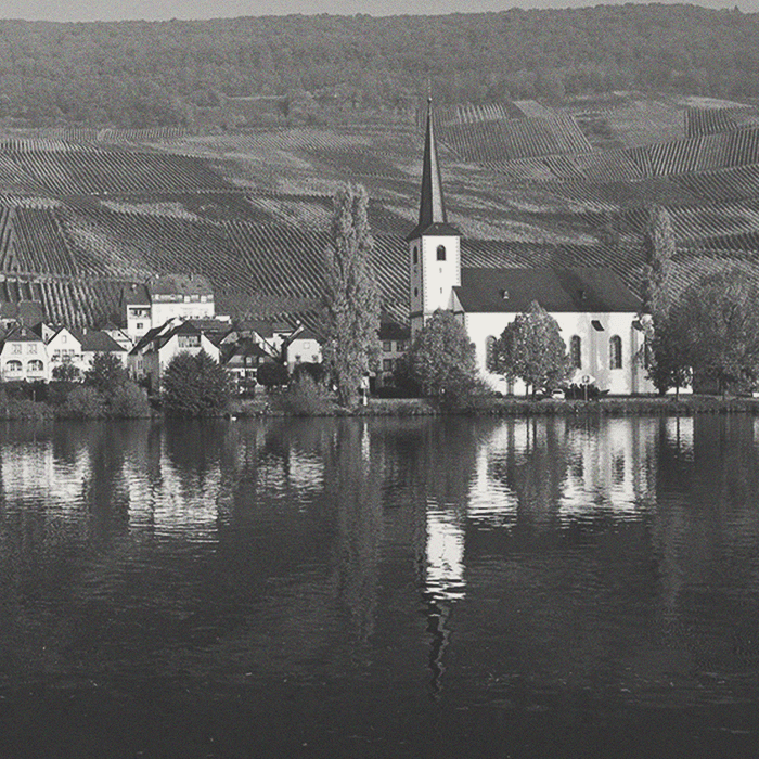 Reinhold Haart - Haart to Heart Riesling 2021 - [winest]