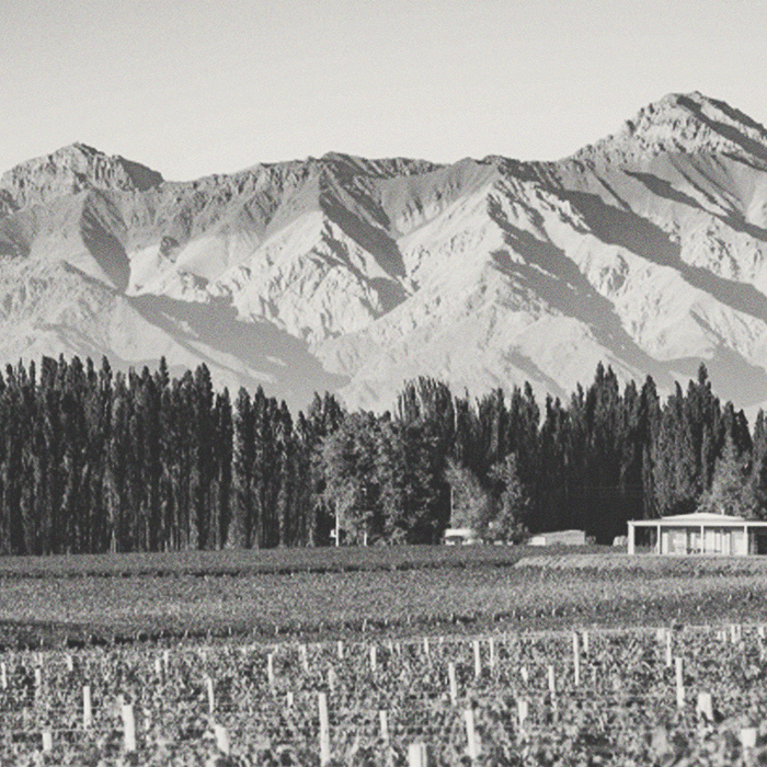 Susana Balbo - Signature Barrel Fermented Torrontés - [winest]