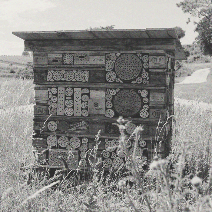 Martin Obenhaus - Unchained Weiss - [winest]