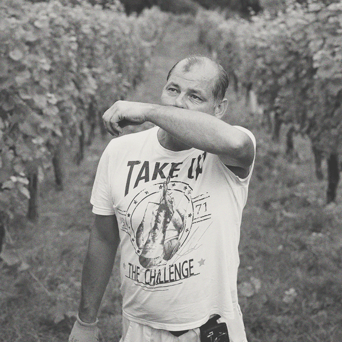 Weingut Neumeister - Gemischter Satz Sarmat