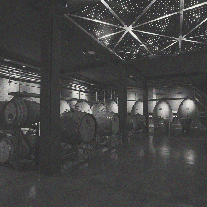 Susana Balbo - Signature Barrel Fermented Torrontés - [winest]