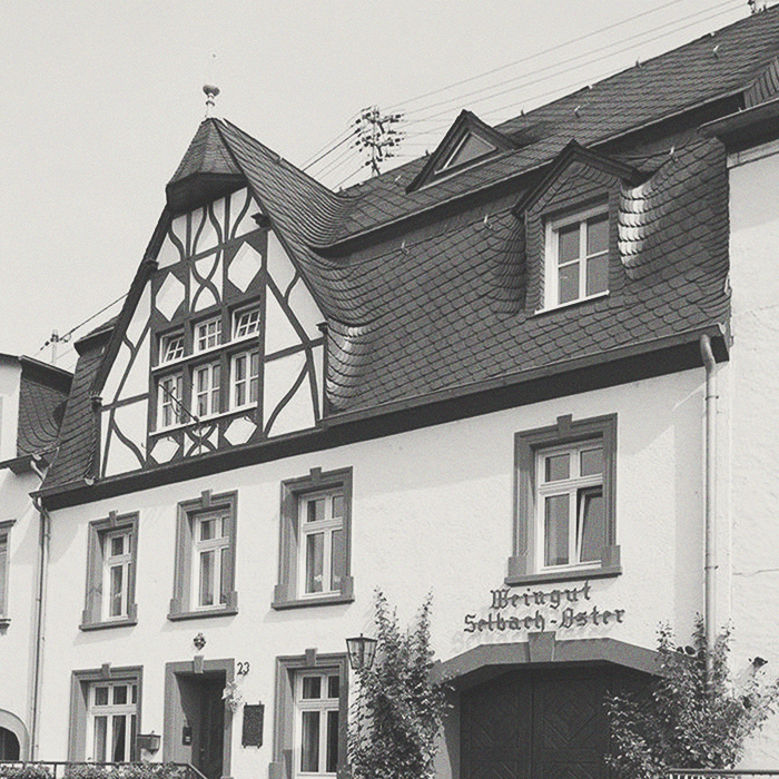 Selbach - Piesporter Michelsberg Riesling - [winest]