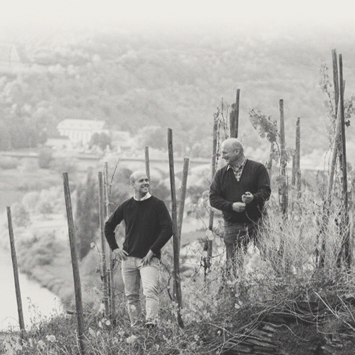 Selbach - Piesporter Michelsberg Riesling - [winest]