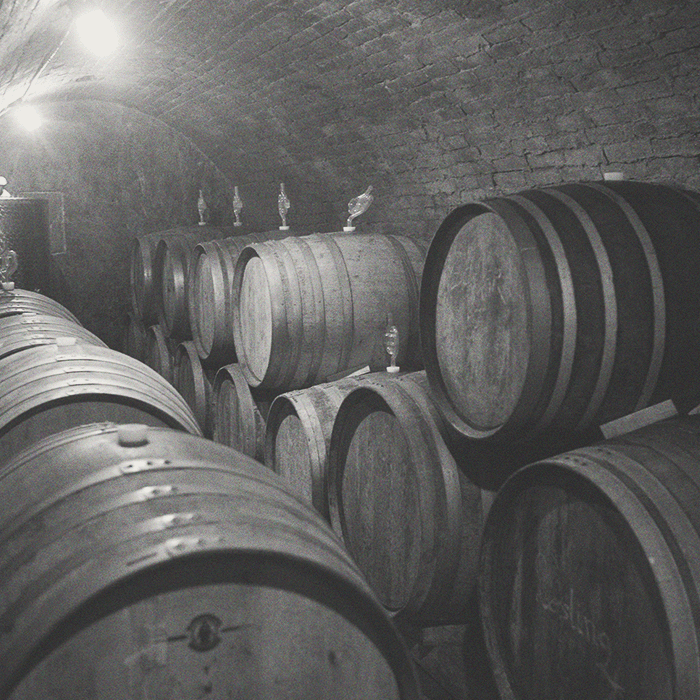 Matthias Warnung - Trinity