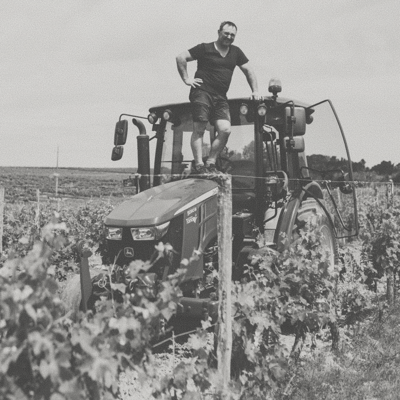 Bordeaux Families - Mallette Rouge