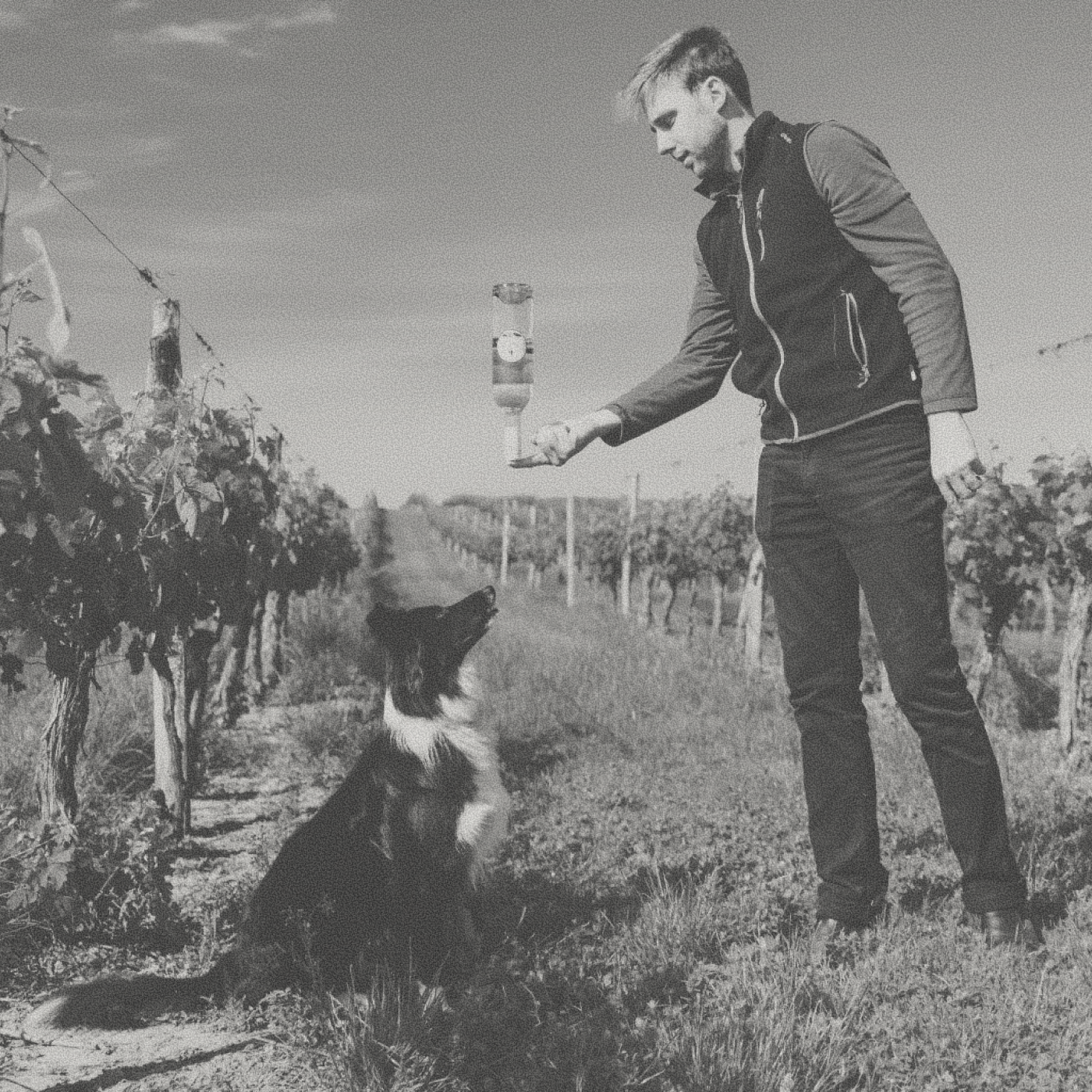 Bordeaux Families - Mallette Rouge