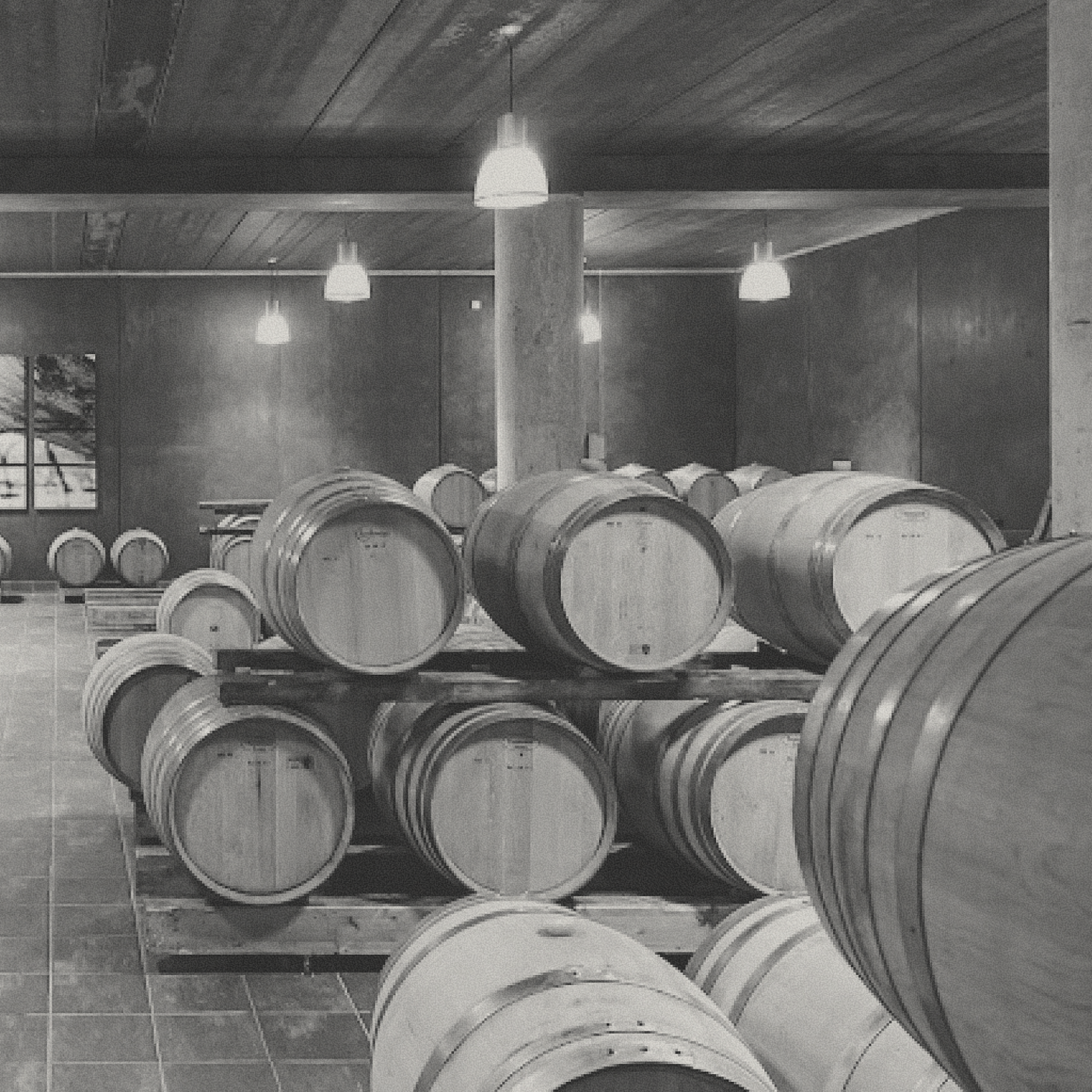 Cantina Colterenzio - Pinot Nero