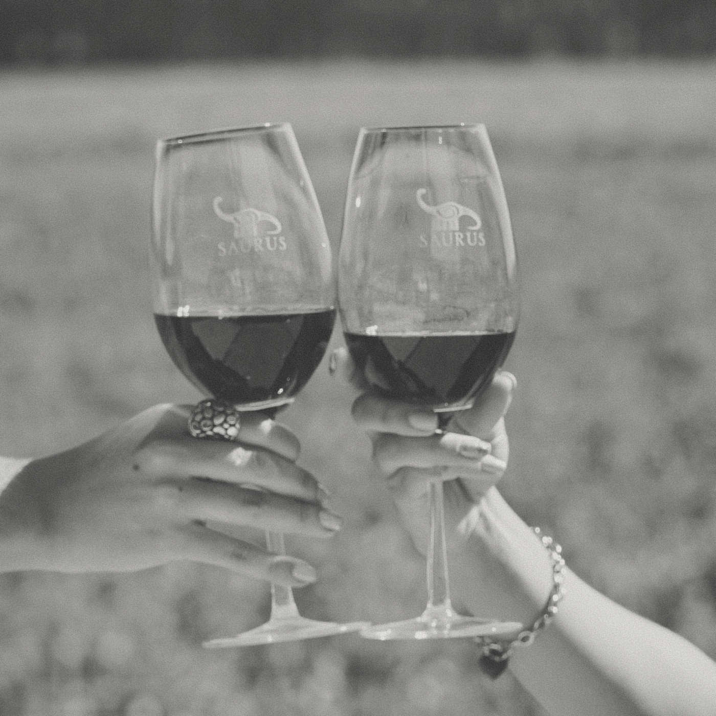 Familia Schroeder - Saurus Pinot Noir