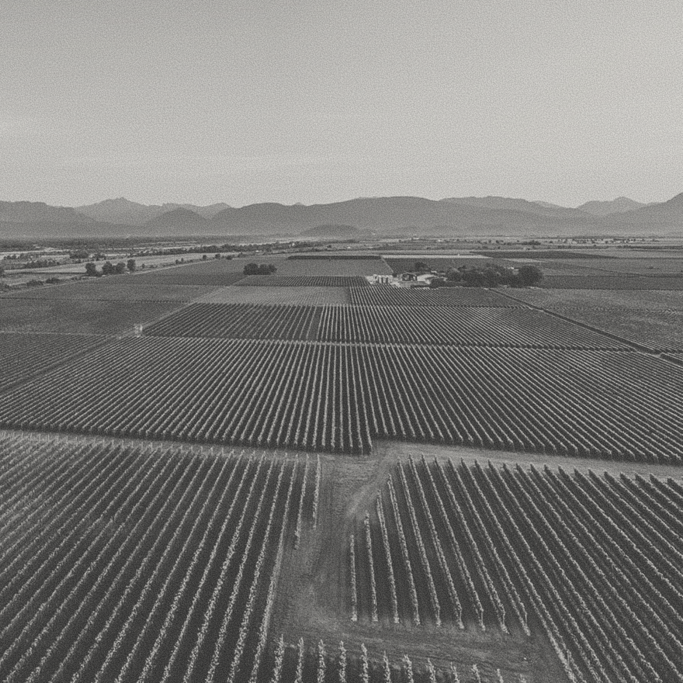 La Gioiosa - Prosecco