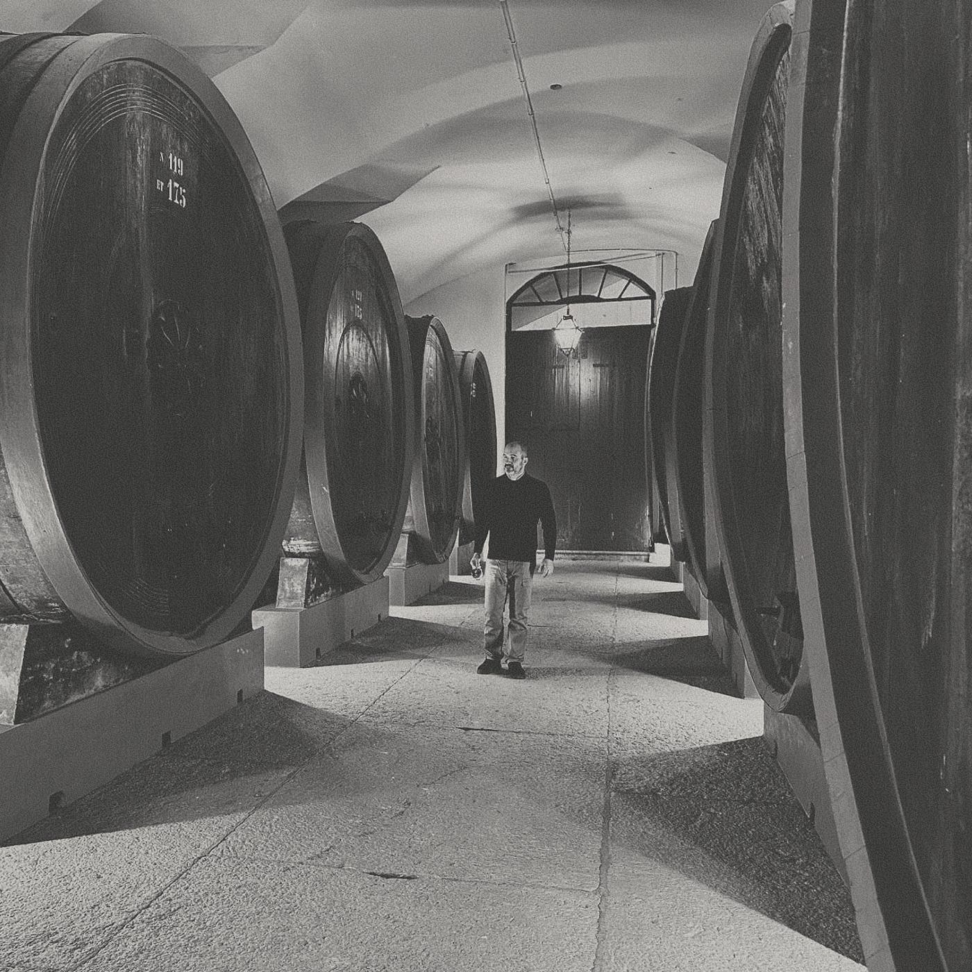 Tenuta Santa Maria - Lepiga Soave