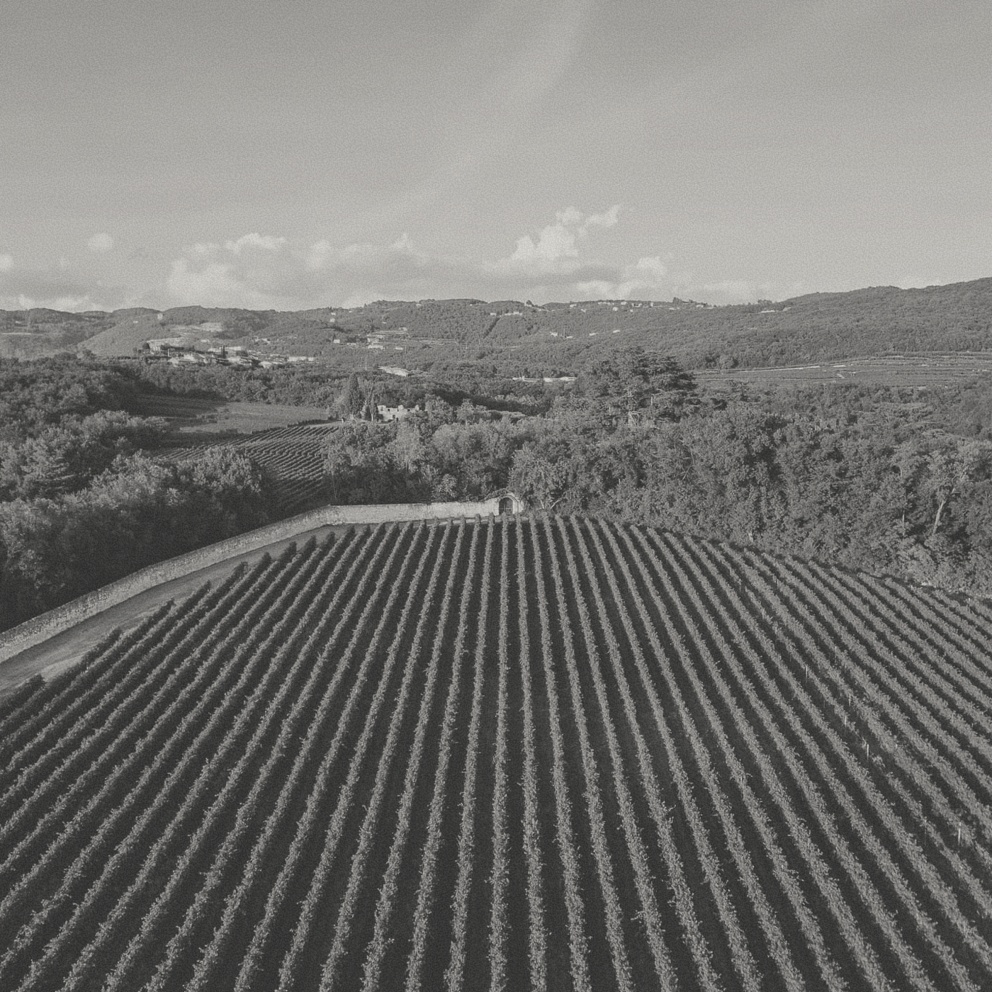 Tenuta Santa Maria - Lepiga Soave