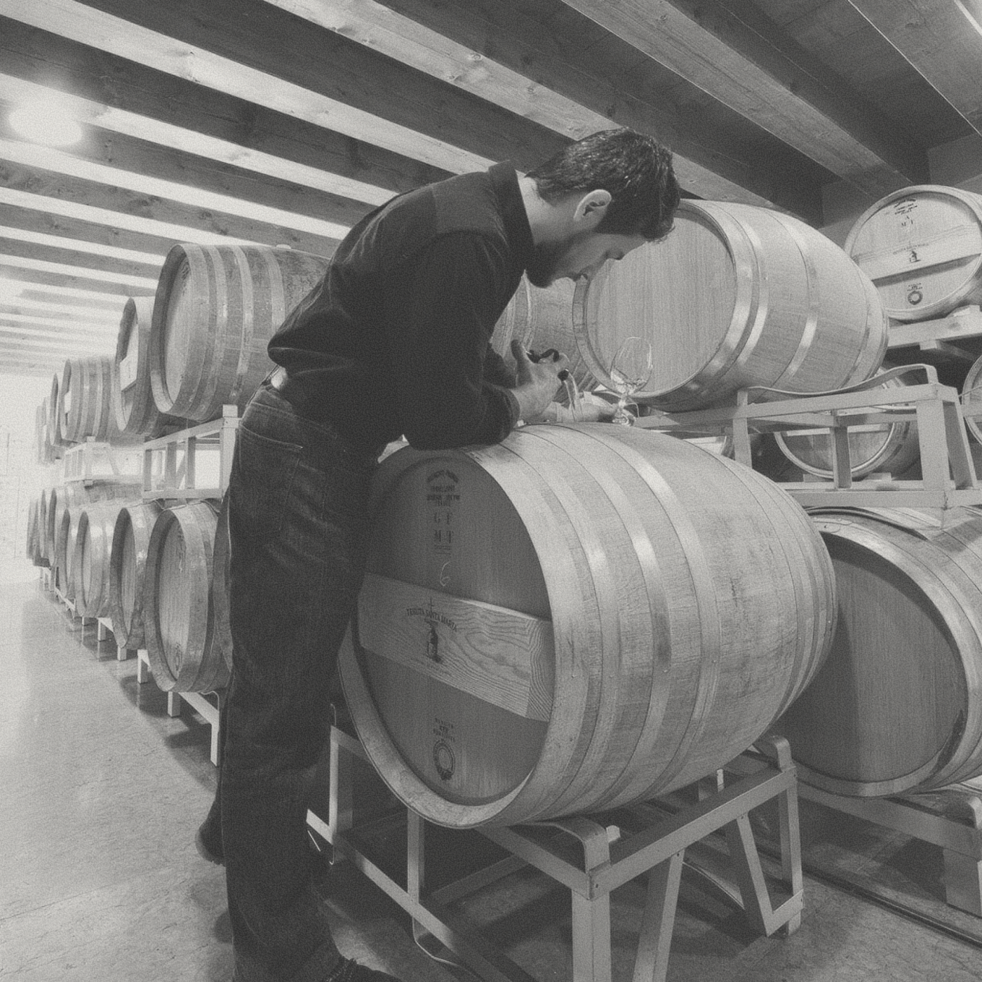 Tenuta Santa Maria - Lepiga Soave