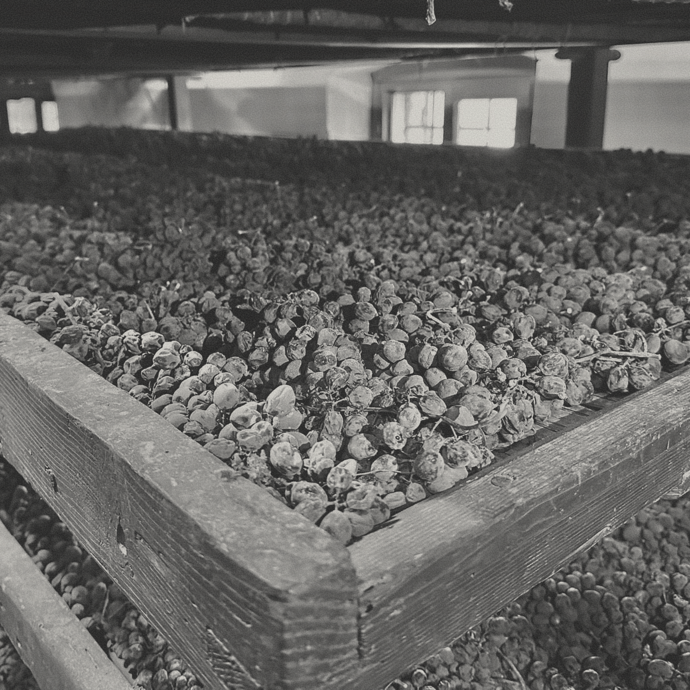 Tenuta Santa Maria - Lepiga Soave