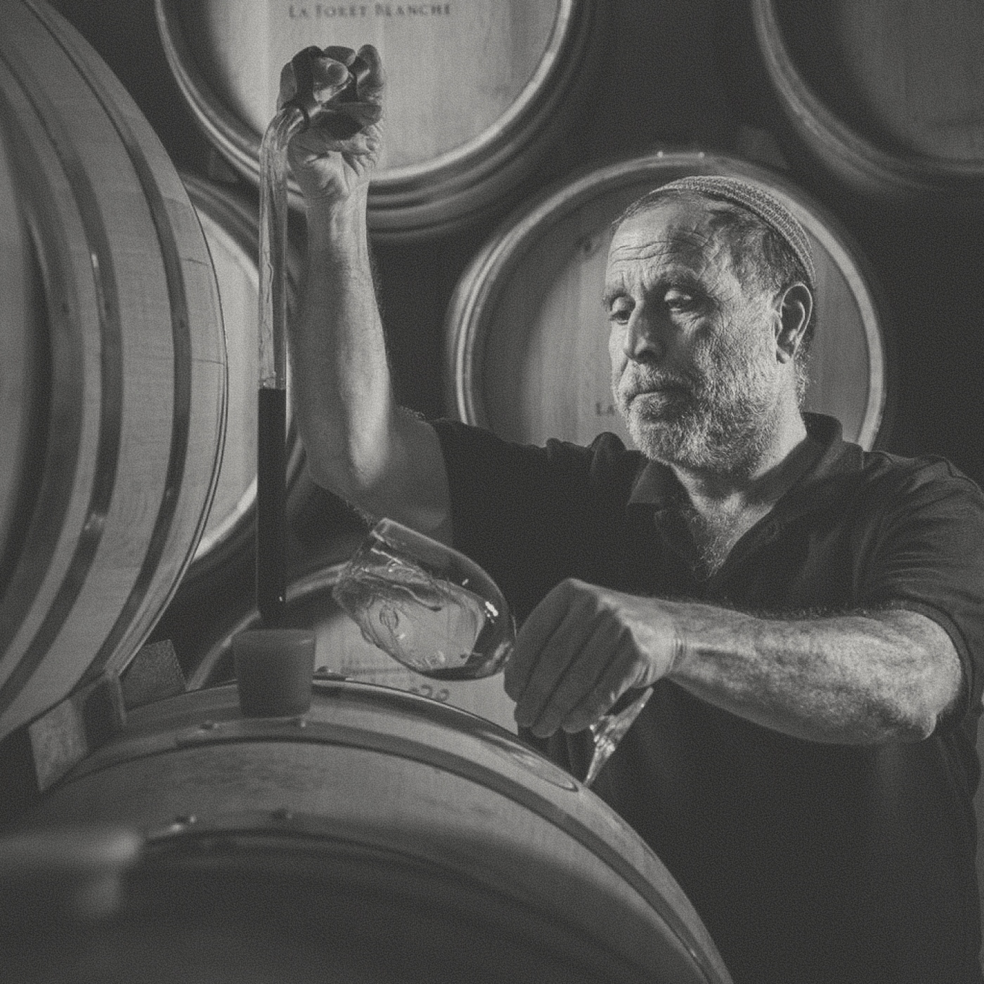 La Forêt Blanche - Talpiot White