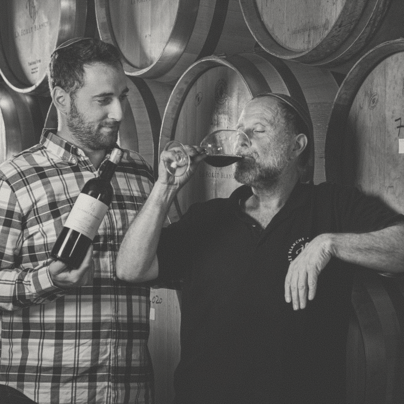 La Forêt Blanche - Talpiot White